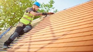 Best Emergency Roof Repair Services  in Bad Axe, MI