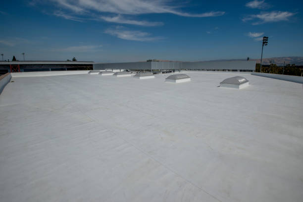 Best Asphalt Shingle Roofing  in Bad Axe, MI