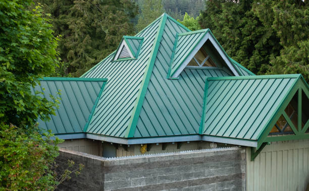 Best Skylight Installation and Repair  in Bad Axe, MI