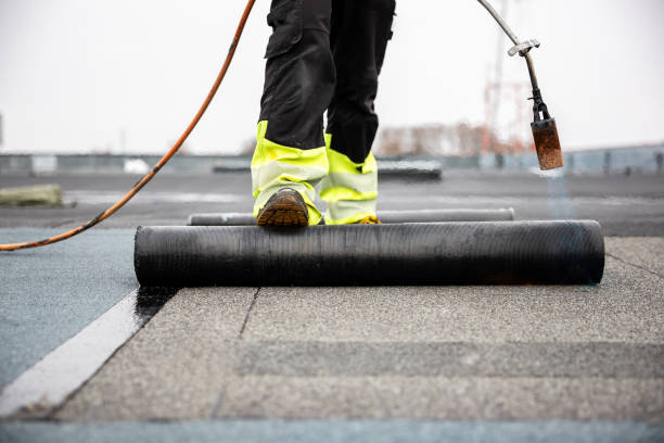 Best Roof Moss and Algae Removal  in Bad Axe, MI