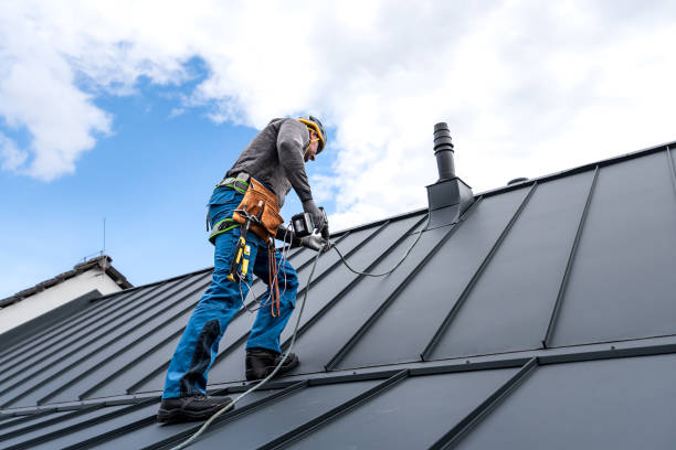 Best Rubber Roofing (EPDM, TPO)  in Bad Axe, MI