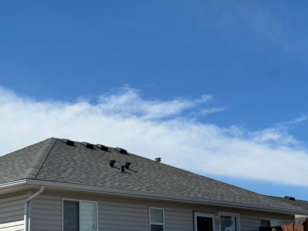 Best Roof Coating Services  in Bad Axe, MI